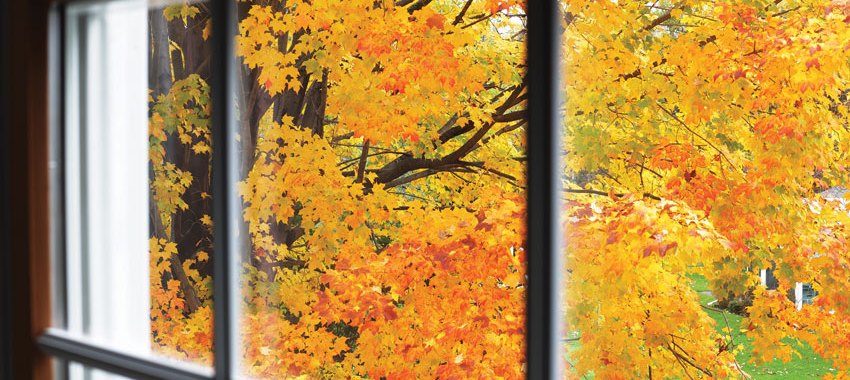 How to Choose Replacement Windows
