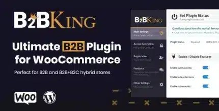 inline-preview-3-430x219-1_ac191d B2BKing – The Ultimate WooCommerce B2B & Wholesale Plugin - Image 1