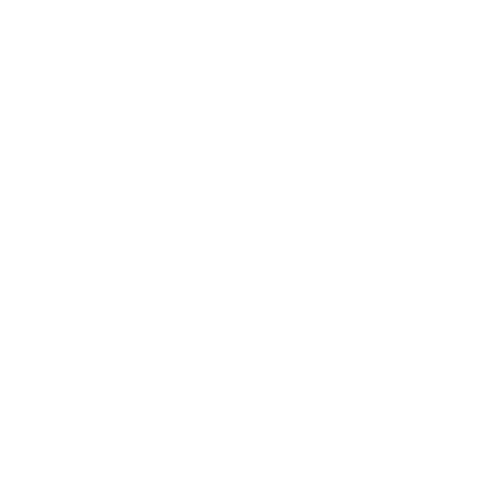 Risa Student Education Program - Premium Geometric Illustration Gallery - Desktop