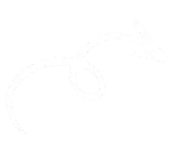A white curved arrow design with a spiral element, indicating direction or movement.