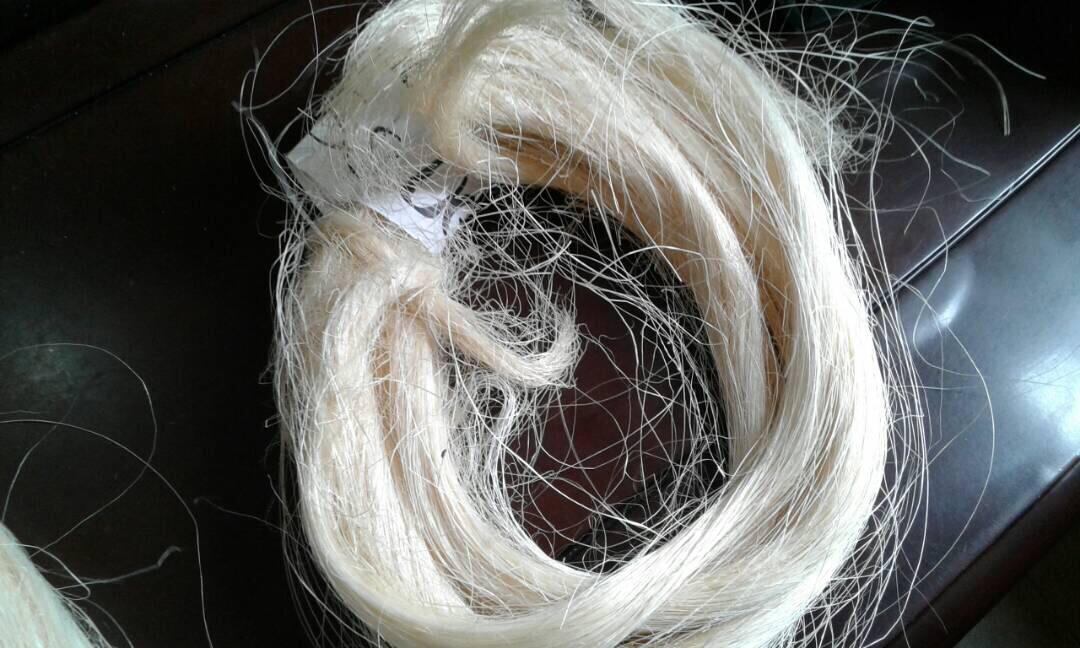 Image 2020-06-10 at 13.41.06 Sisal Fiber (per MT) - Image 1