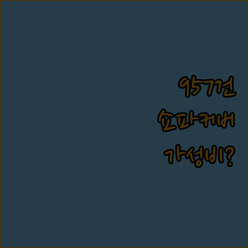 957건 리뷰로 검증된 쇼파 쿠션 커버 2종 비교, 가성비 끝판왕은?
