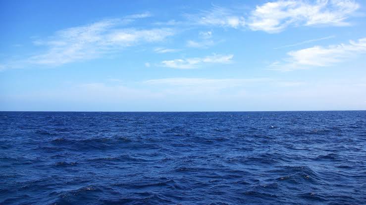 Significant abundance of microplastics in eastern arabian sea, off