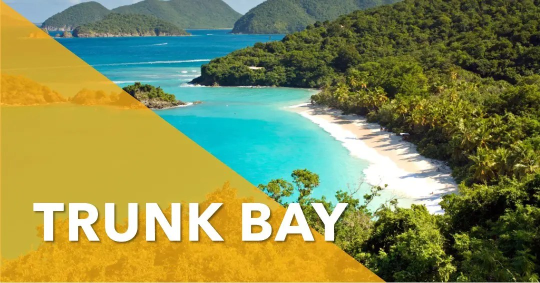 Magens Bay VS Trunk Bay How To Make The Best Choice Greatest Of All