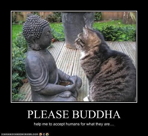 Oh, Buddha