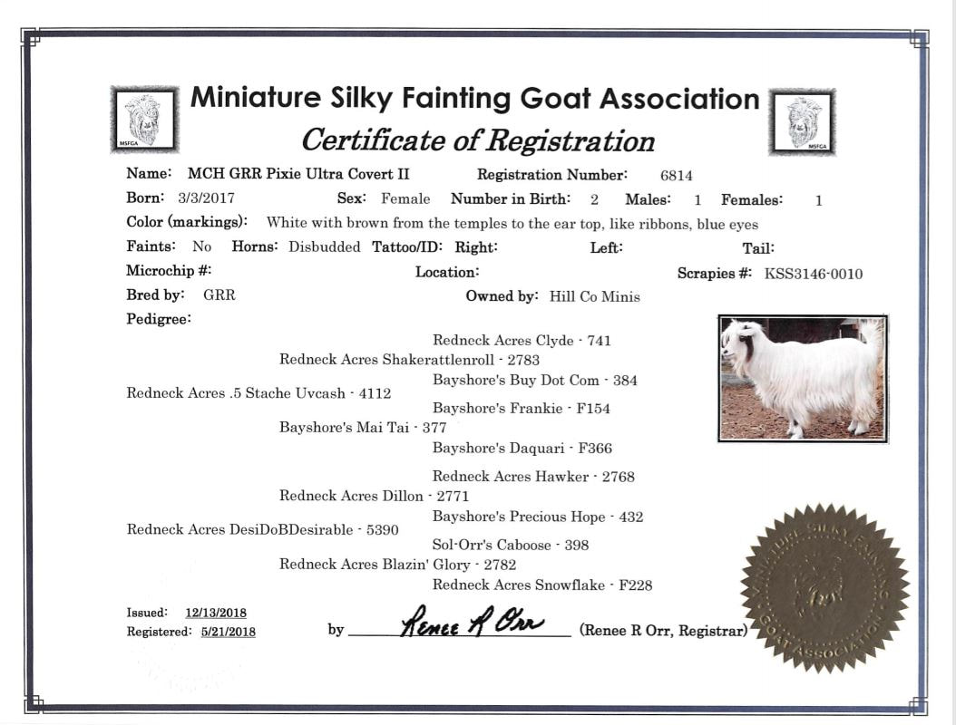 MCH GRR Pixie Ultra Covert II