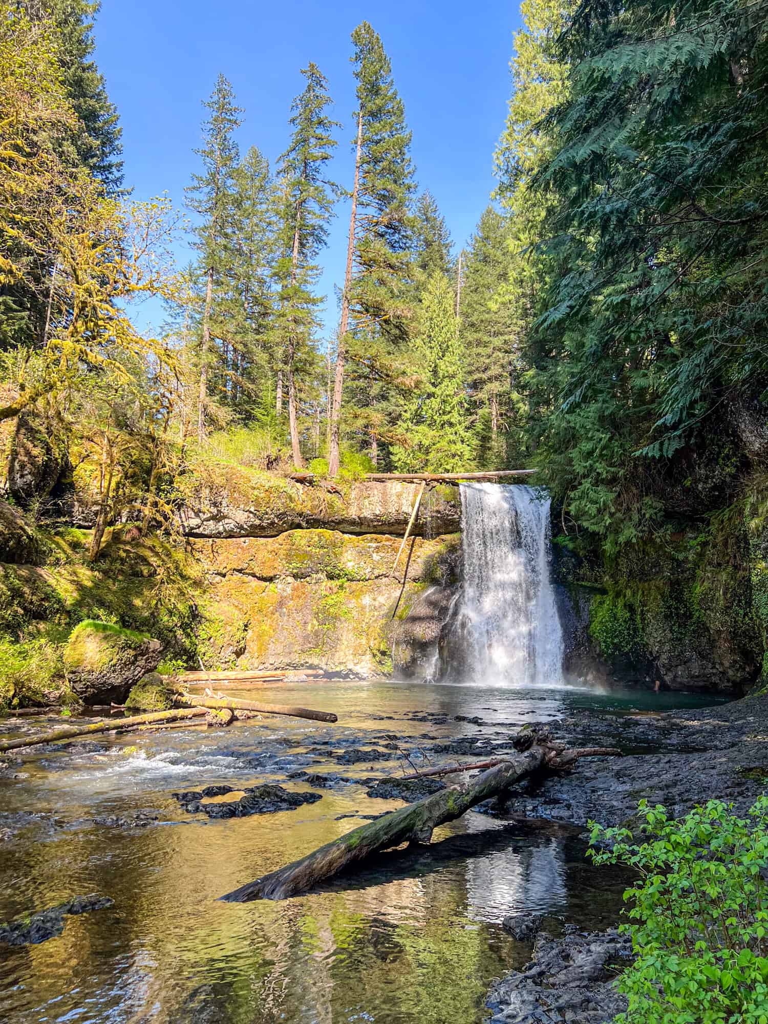 Silver Falls State Park Hiking Waterfall Trails Worth A Short Detour Upper North Falls 