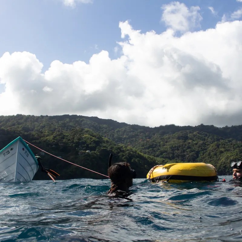 Freedivers in Charlotteville, Tobago