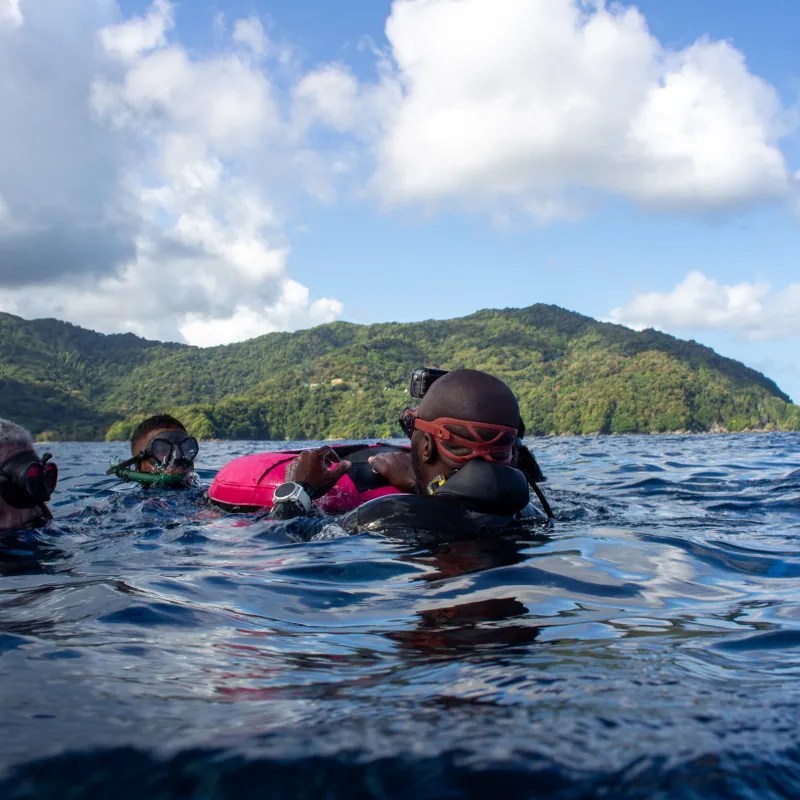 Freediving activity in Charlotteville