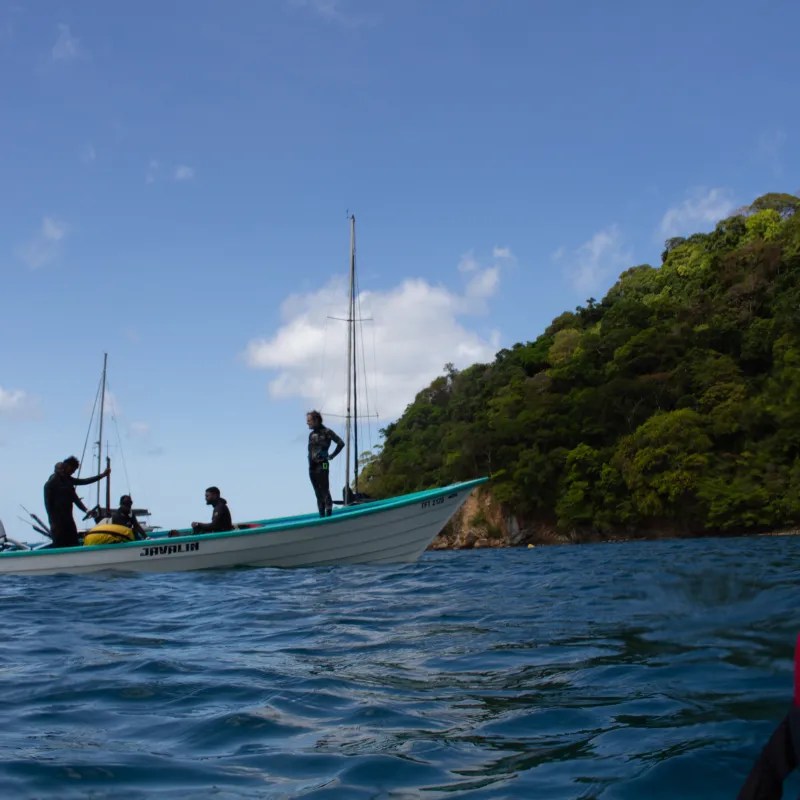 Charlotteville freediving experience
