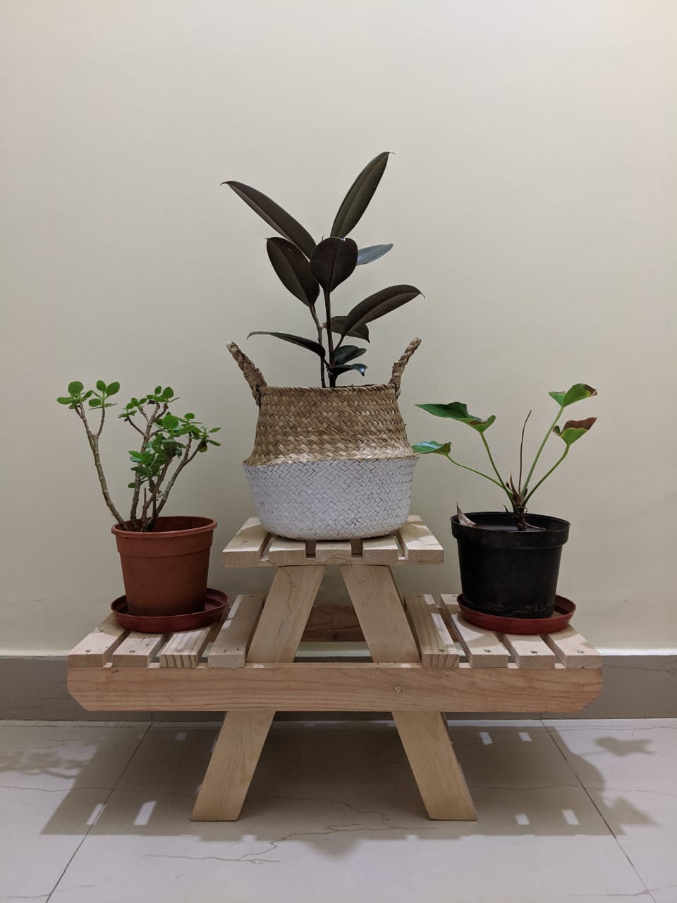 Ivy Plant Stand go Boho