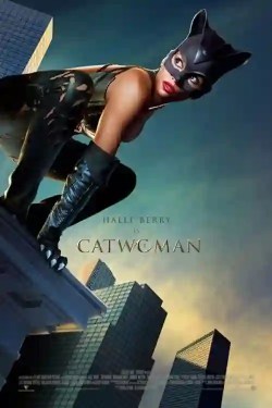 Big Budget Marvel and DC Movies That Flopped - Catwoman (2004) 