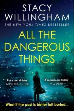 Best Thriller Books of 2023 - All the Dangerous Things by Stacy Willingham