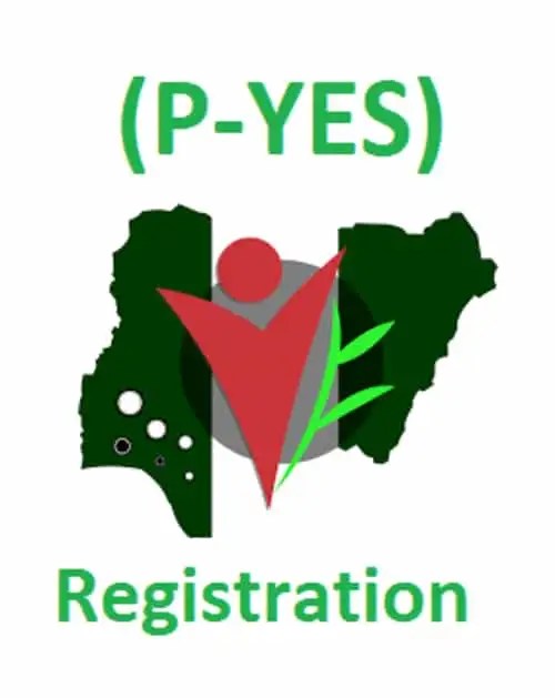 P-YES Programme