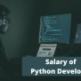 Salary Of A Python Developer - Go Coding