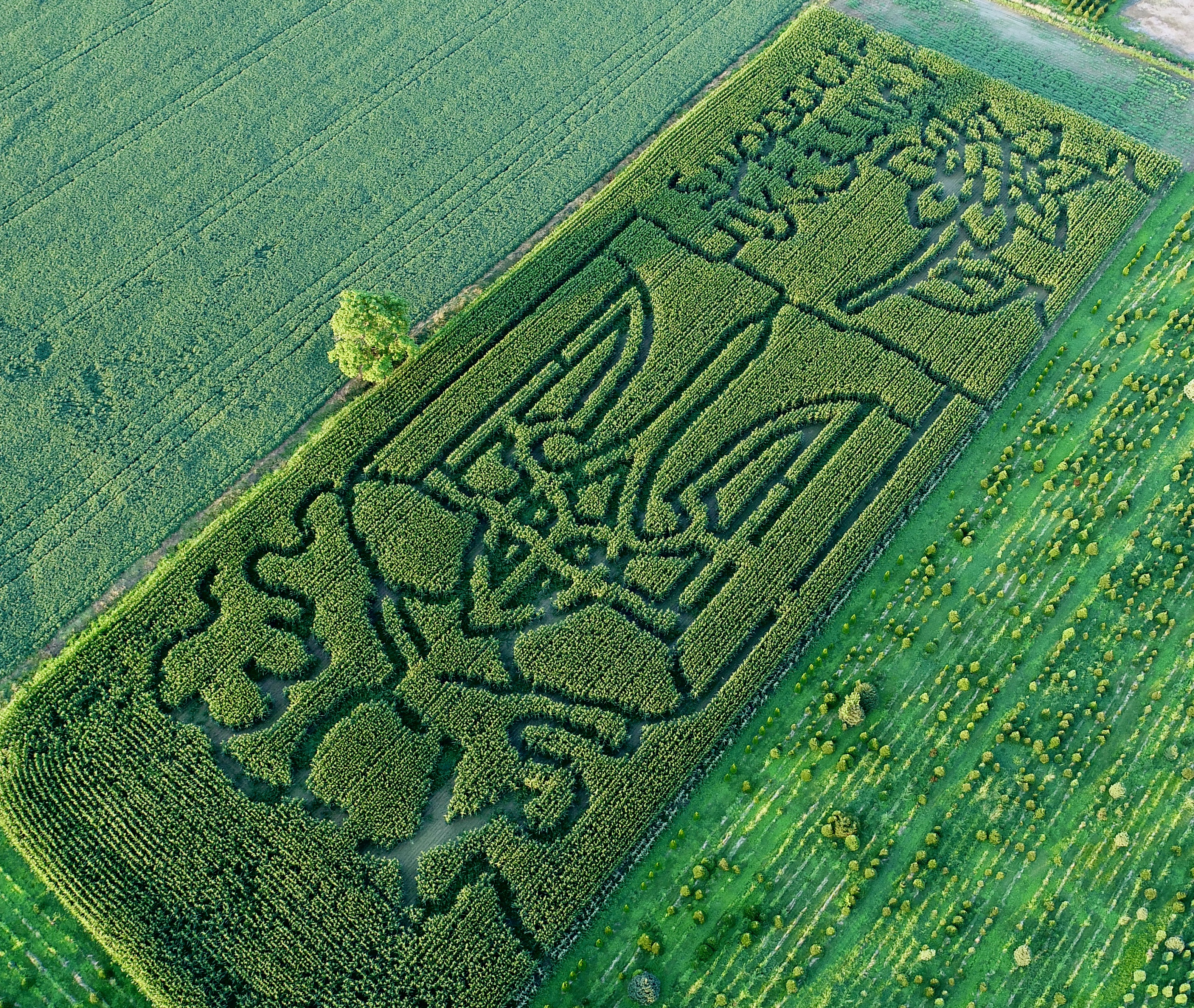Ukraine Corn Maze