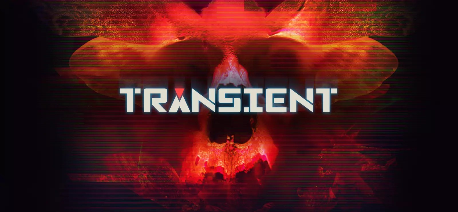 Transient Free Download