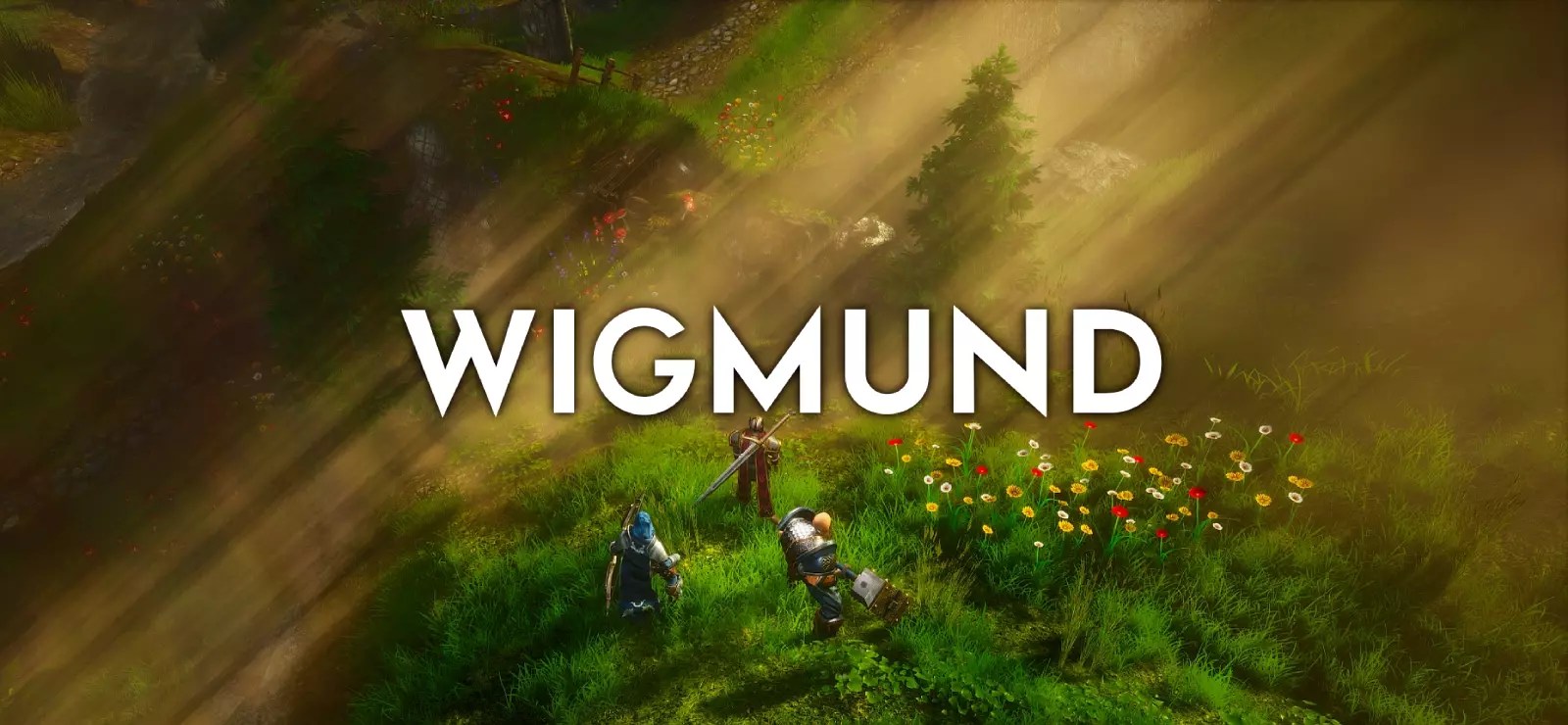 Wigmund Free Download