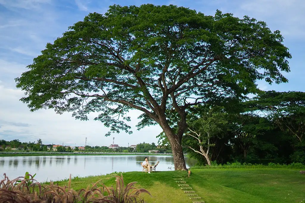 le-meridien-chiangrai-review