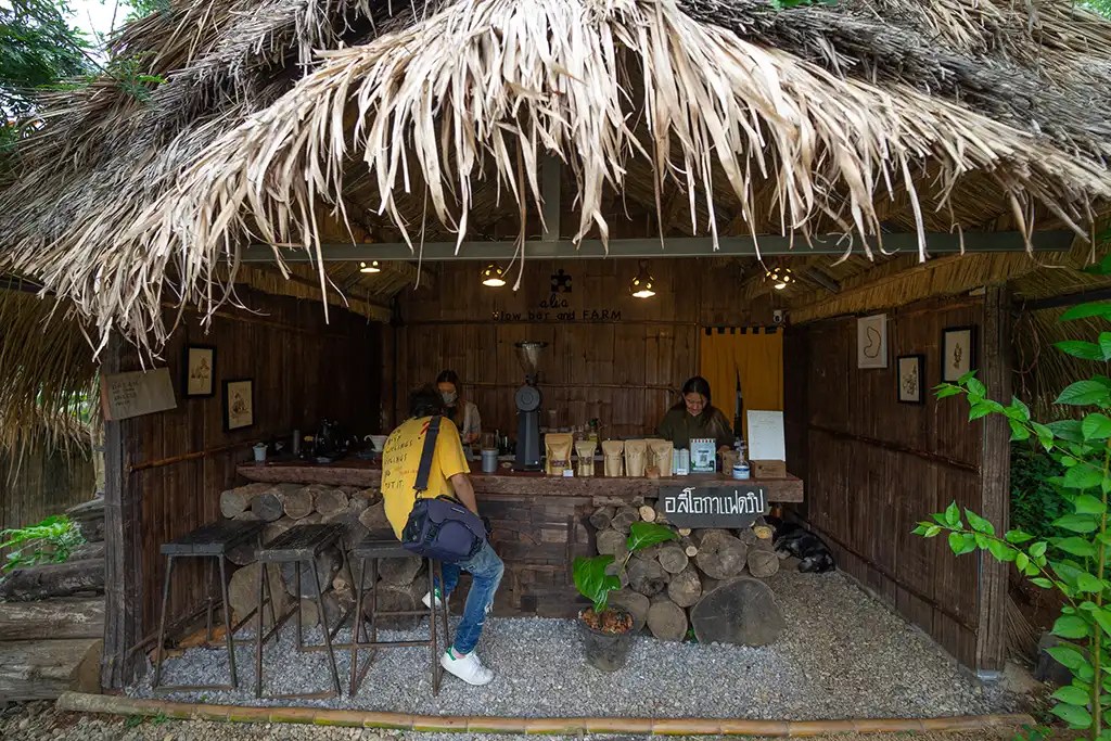 alio-cafe-chiangrai