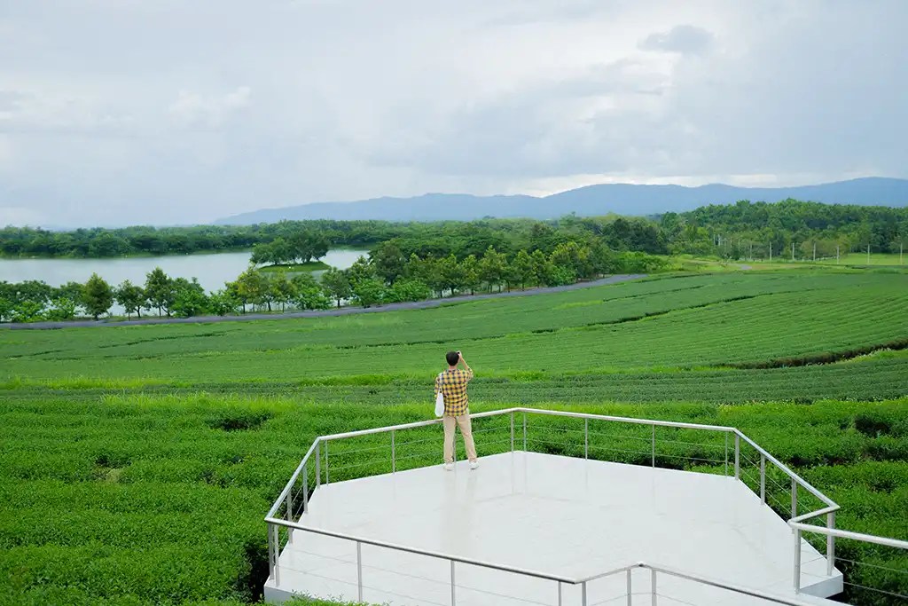 sing-park