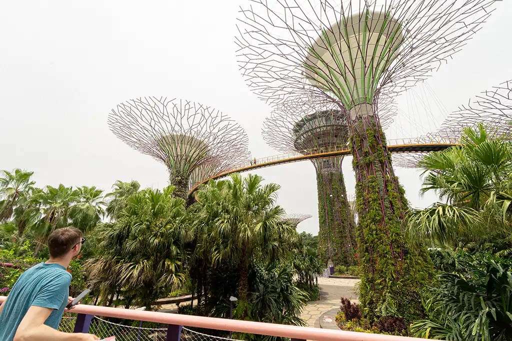singapore-review