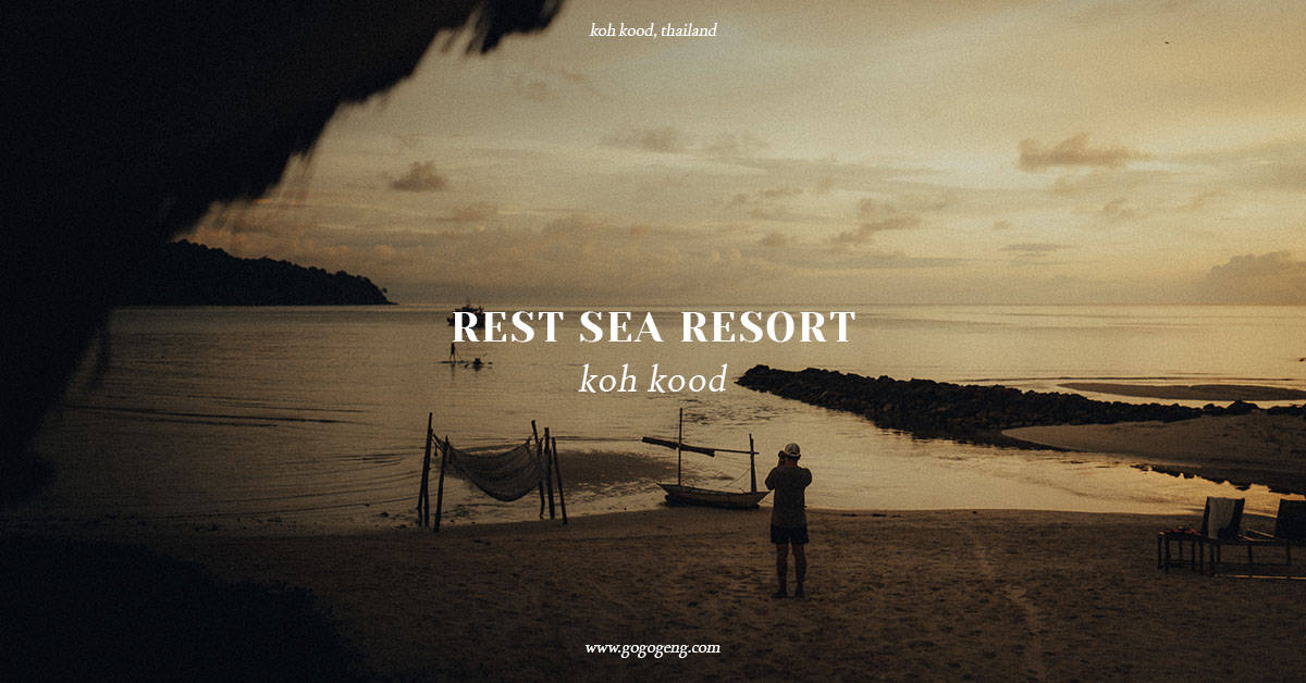 rest-sea-review