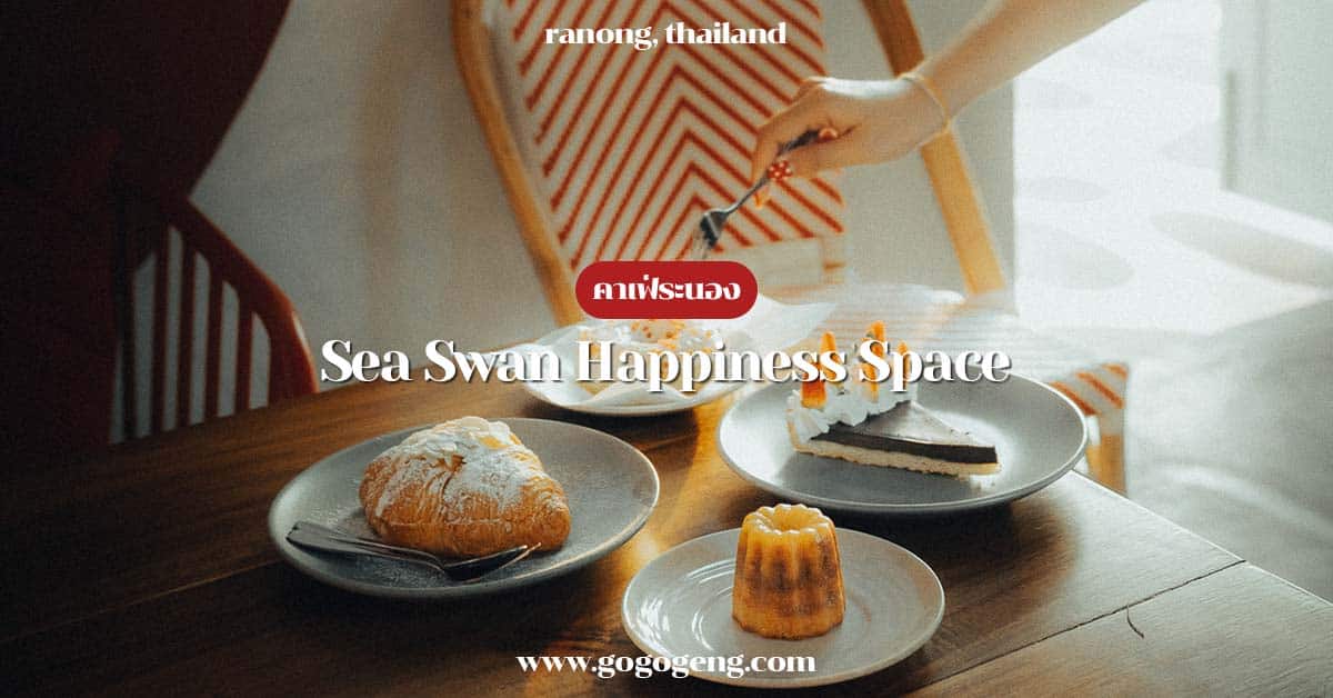 sea-swan-happiness-space