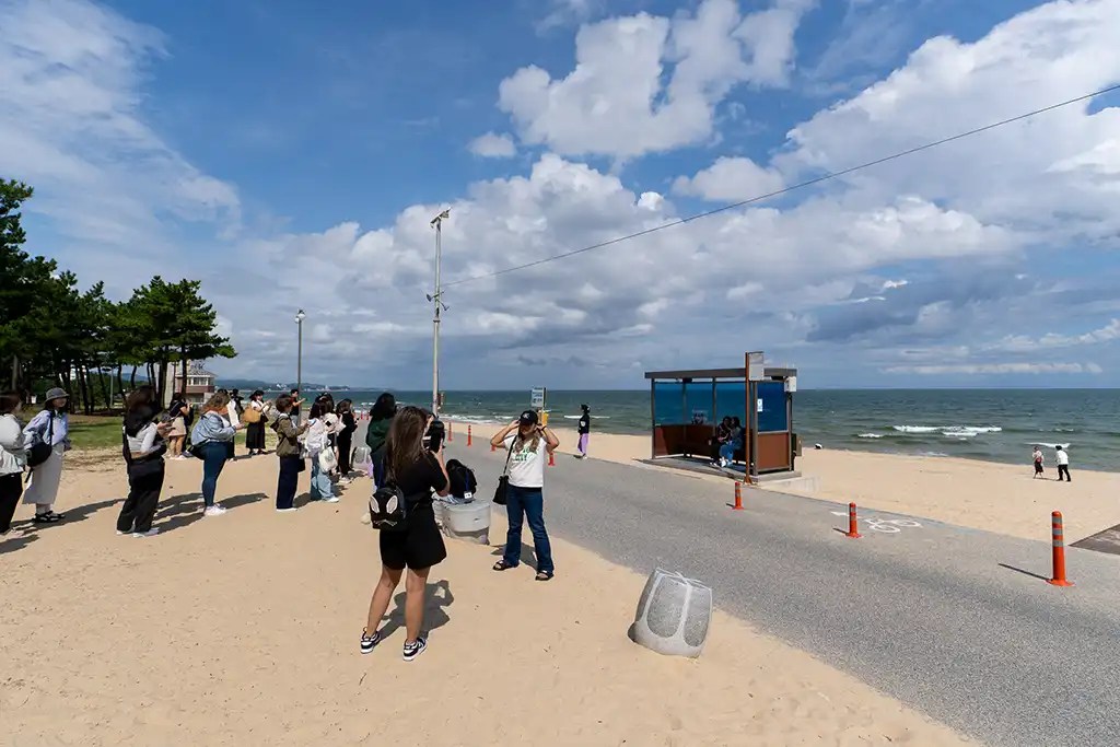 jumujin-beach