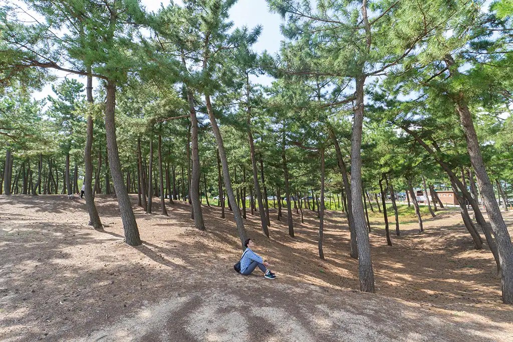gangneung-korea