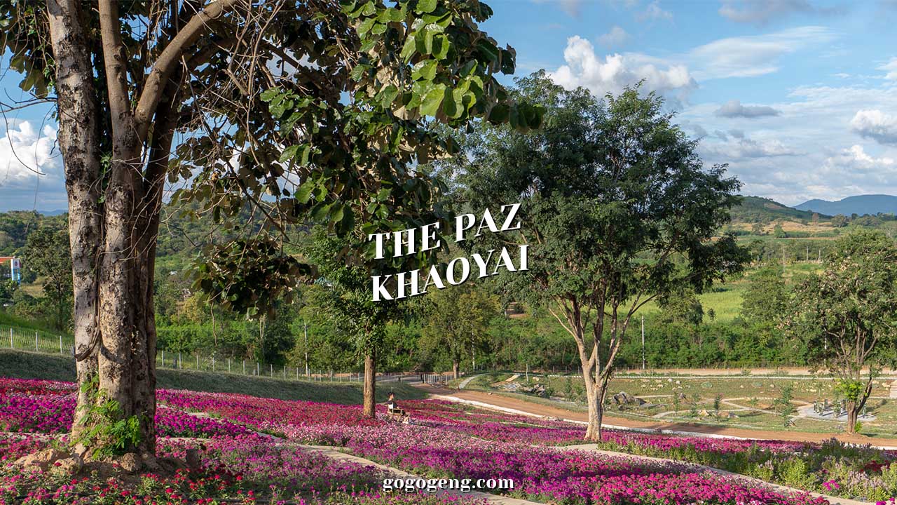 the-paz