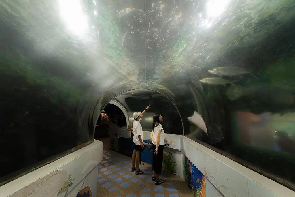 chanthaburi-aquarium