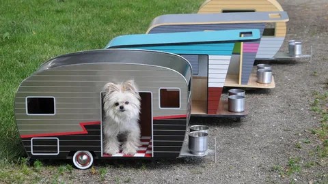 Wolf Pup Camper: The Ultimate Adventure Companion