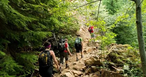 Experience Adventure on Fishhawk Creek Hiking Trail - Going To Camping Fishhawk Creek Hiking Trail