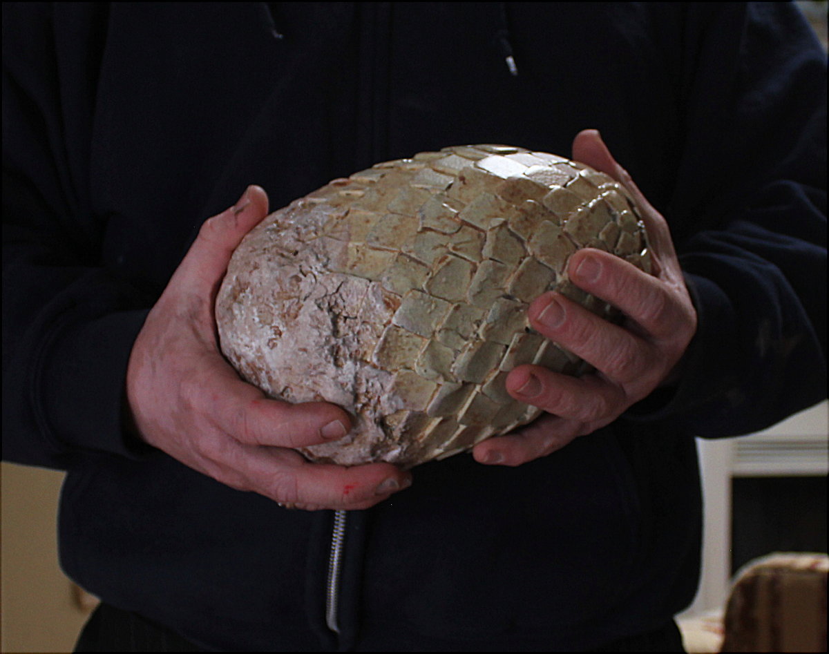 Dragon Egg Prop Replicas Custom Fabrication Special Effects