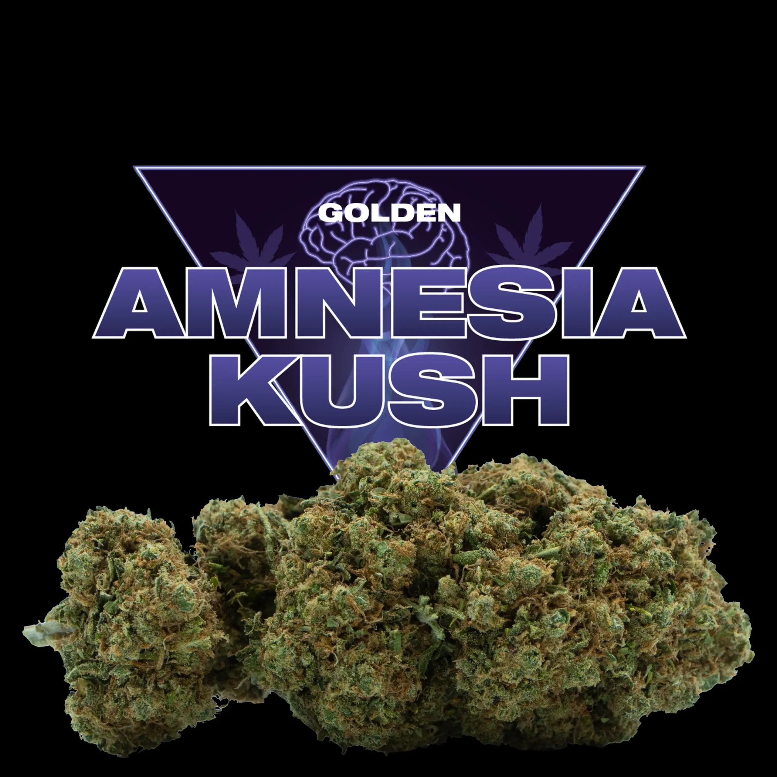 Amnesia Kush CBD fleur buraliste