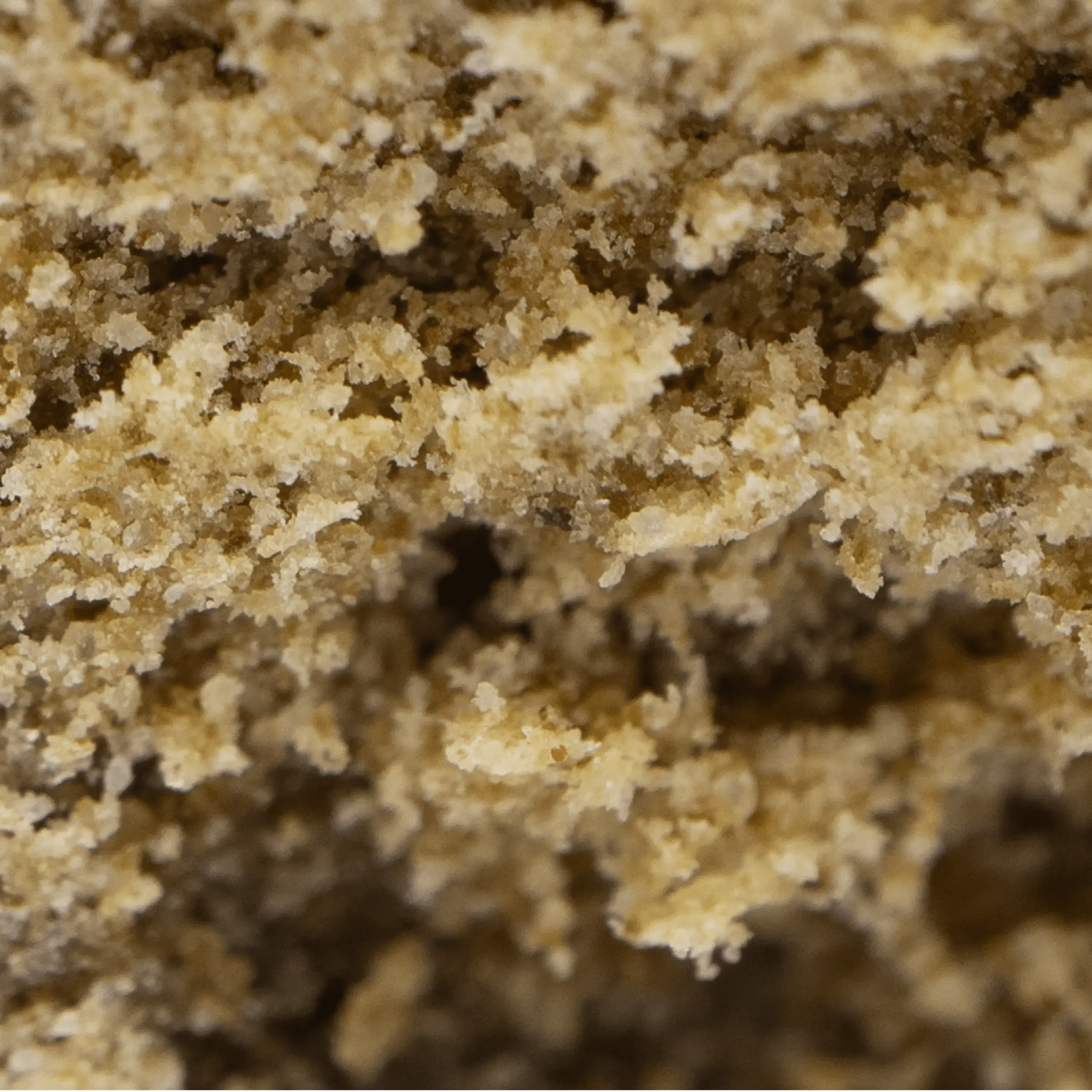 4X CBD 🇫🇷 – Image 2