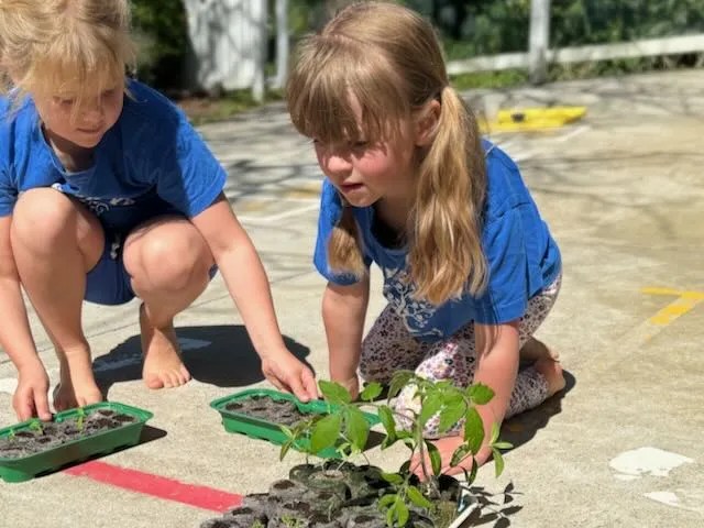 Golden Grove Primary, students work together in the garden