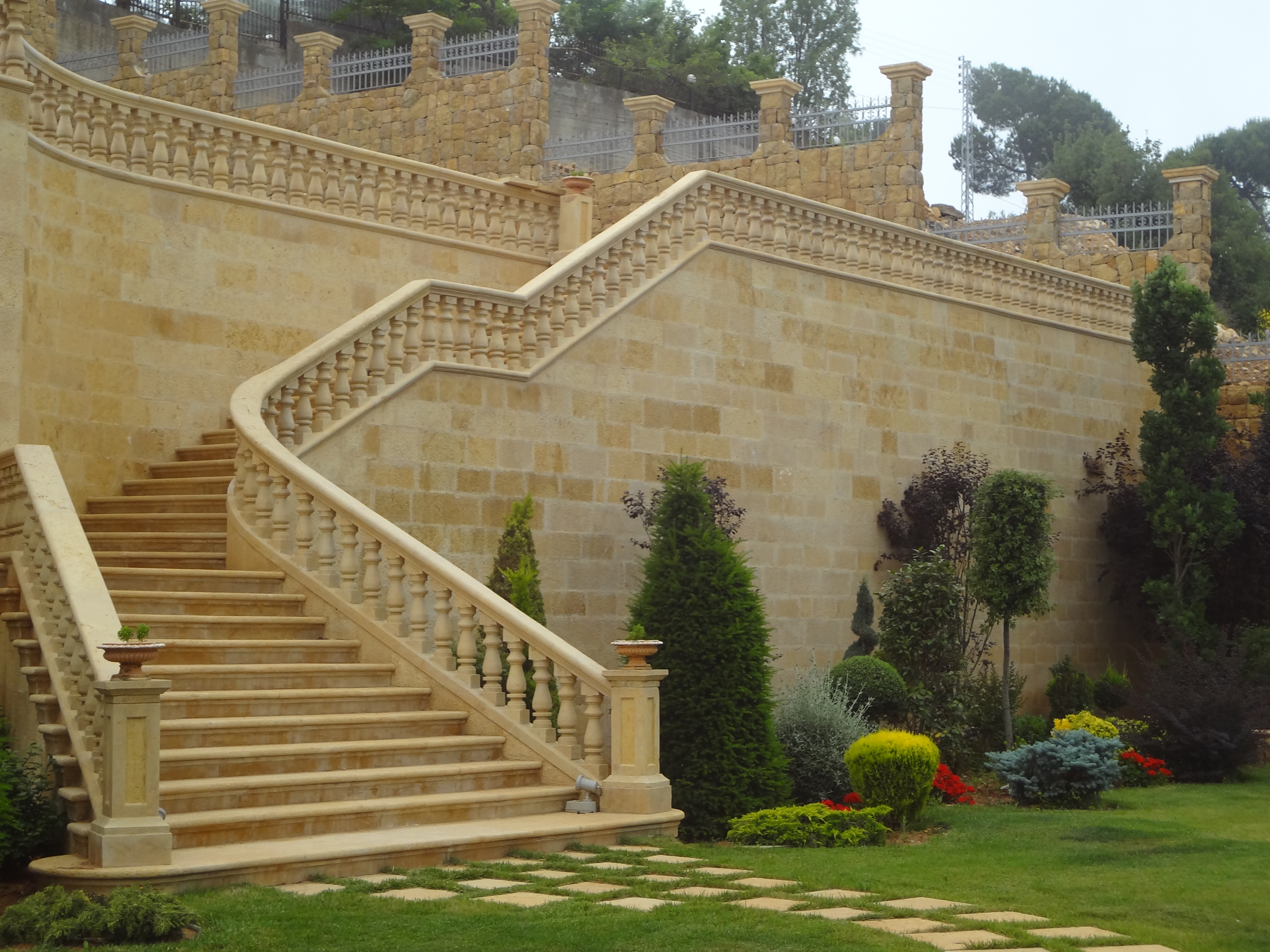 Landscaping Golden Rose