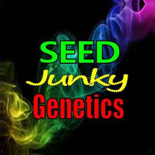 Seed Junky