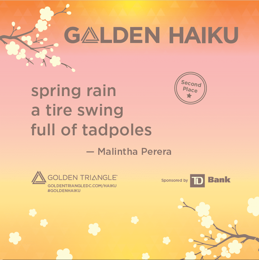 Haiku Poem On The E Scented Bay Michael Mcclintock Haiku Poems Haiku Poetry Very Short Poems Photo by James Schlett. Haiku Poem On The E Scented Bay Michael Mcclintock Haiku Poems Haiku Poetry Very Short Poems NYs Capital Region.