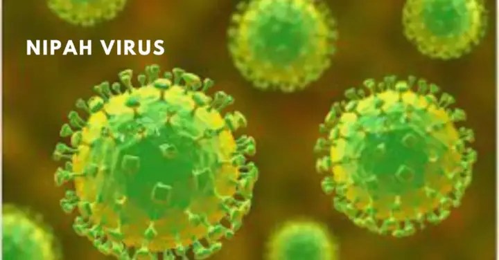 Nipah Virus in hindi