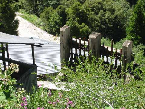 Sixteen's 10 Stamp Mill