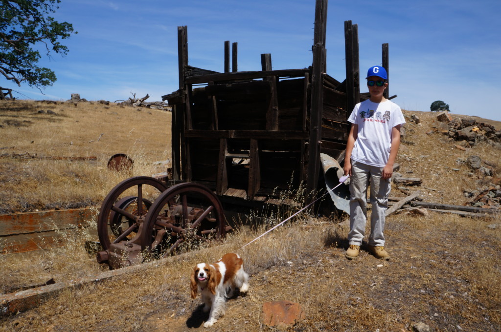 Ore Hopper and Jaw Crusher