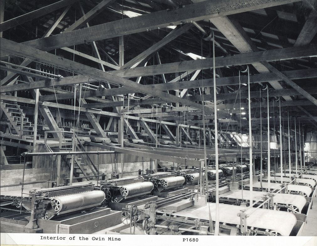 Gwin Mine 100 Stamps