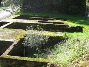 Gwin Mine Ruins 2
