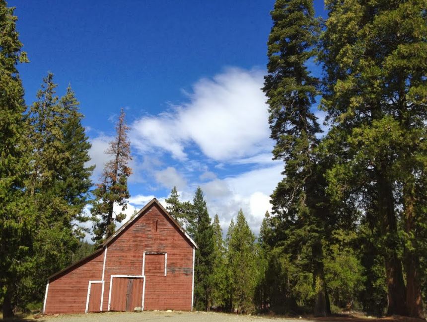 Jamison Mine - structure