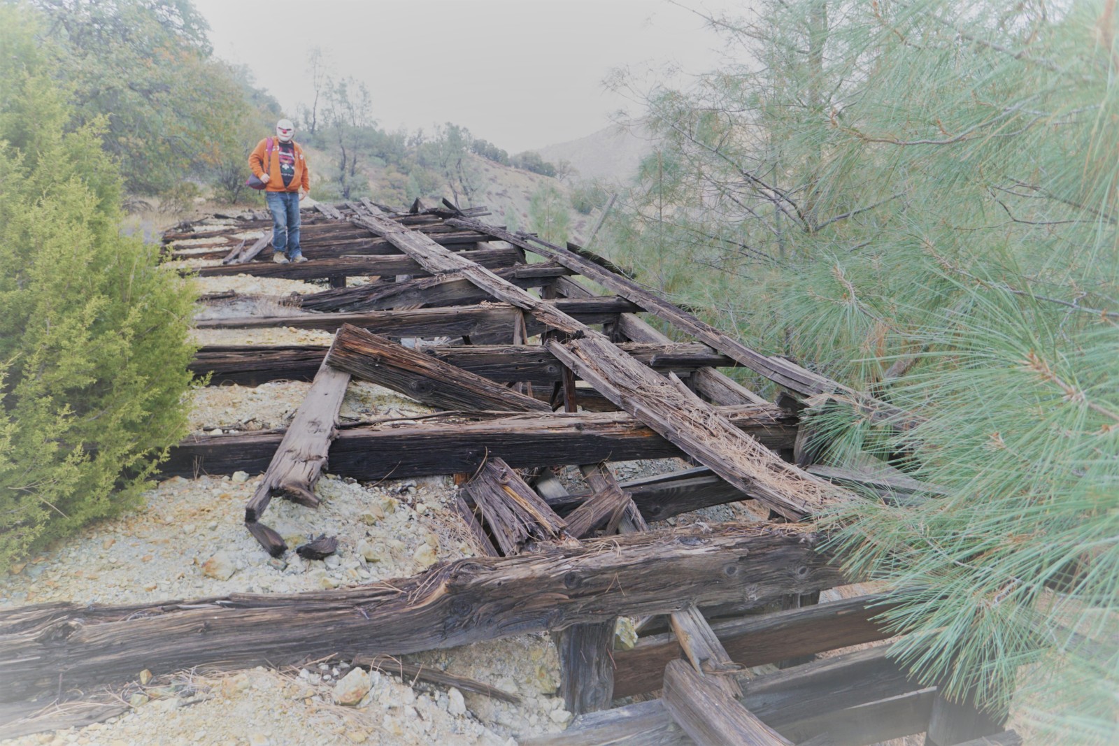 New Idria - Trestle