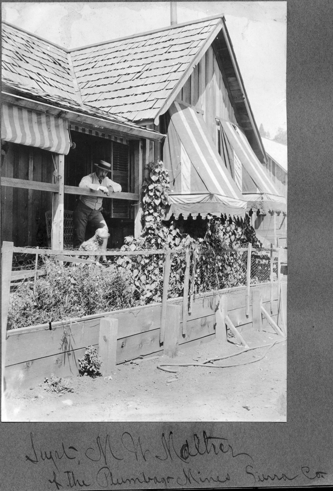 Plumbago Mine Porche