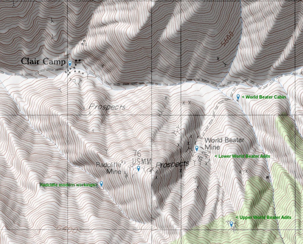 World Beater Mine - Topo Map